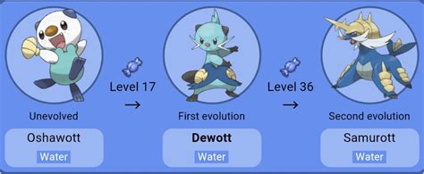 lv evoluzione dewott|dewott evolution.